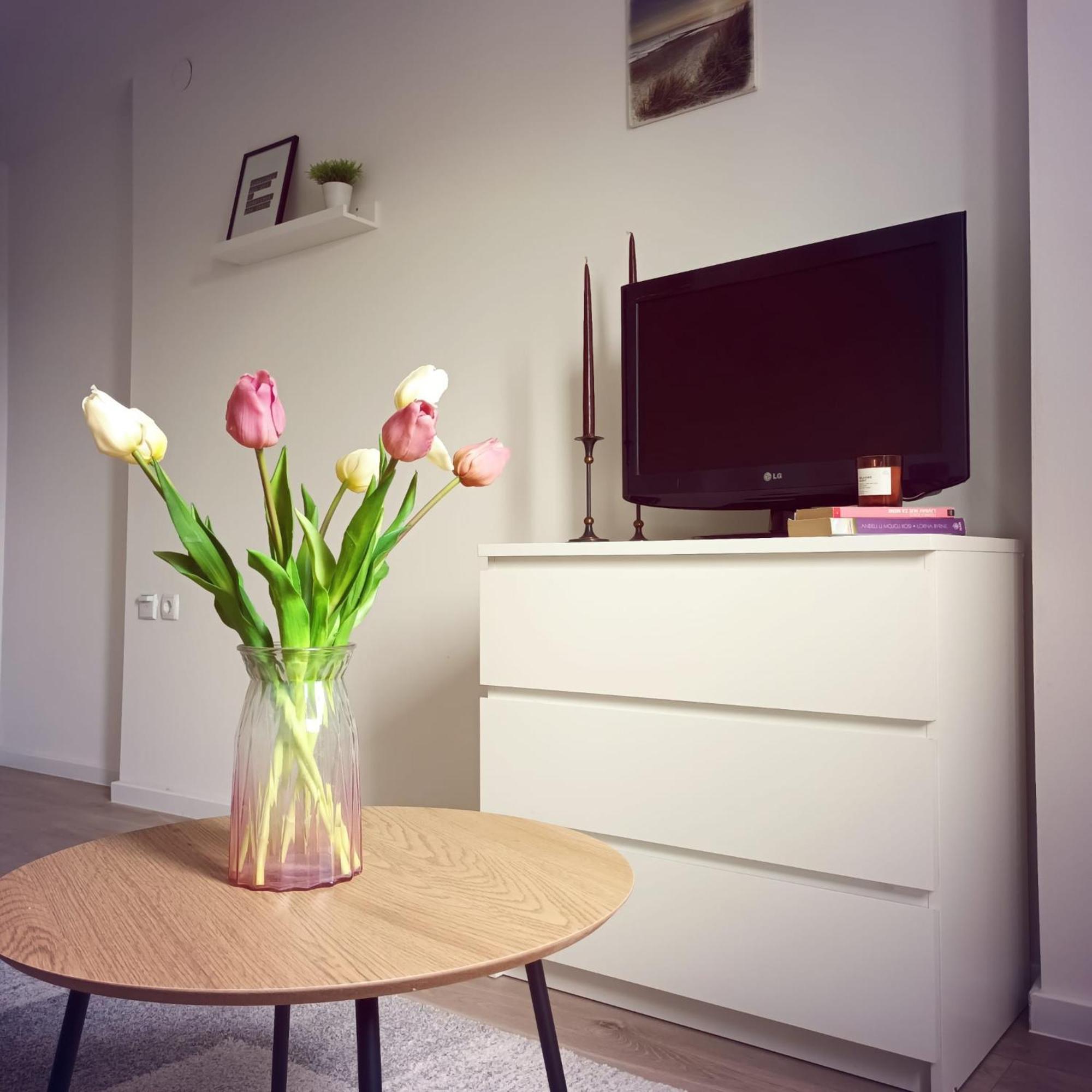 Bright And Modern Studio Near City Center Διαμέρισμα Ζάγκρεμπ Εξωτερικό φωτογραφία